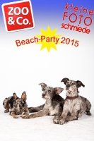 BeachParty_Zoo_Co_2015_07-213