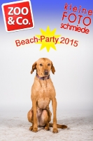 BeachParty_Zoo_Co_2015_07-224