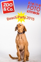 BeachParty_Zoo_Co_2015_07-227