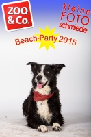 BeachParty_Zoo_Co_2015_07-230