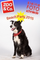 BeachParty_Zoo_Co_2015_07-231
