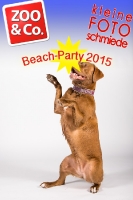 BeachParty_Zoo_Co_2015_07-232