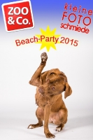 BeachParty_Zoo_Co_2015_07-235