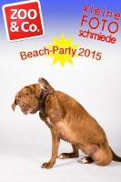 BeachParty_Zoo_Co_2015_07-236