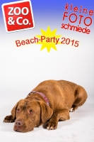 BeachParty_Zoo_Co_2015_07-237