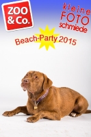 BeachParty_Zoo_Co_2015_07-238