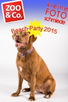 BeachParty_Zoo_Co_2015_07-239
