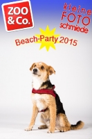 BeachParty_Zoo_Co_2015_07-240