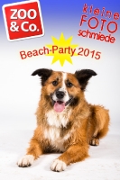BeachParty_Zoo_Co_2015_07-244