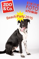 BeachParty_Zoo_Co_2015_07-246