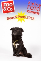 BeachParty_Zoo_Co_2015_07-247