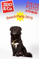 BeachParty_Zoo_Co_2015_07-248