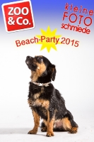 BeachParty_Zoo_Co_2015_07-251