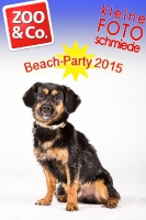 BeachParty_Zoo_Co_2015_07-252