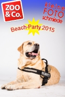 BeachParty_Zoo_Co_2015_07-253