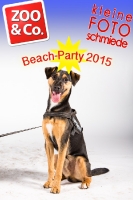BeachParty_Zoo_Co_2015_07-262