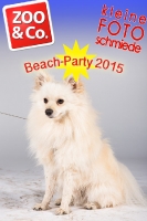 BeachParty_Zoo_Co_2015_07-265