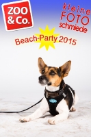 BeachParty_Zoo_Co_2015_07-271