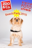BeachParty_Zoo_Co_2015_07-274