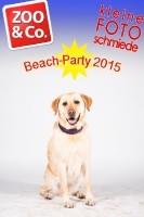 BeachParty_Zoo_Co_2015_07-275