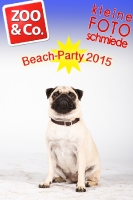 BeachParty_Zoo_Co_2015_07-278