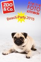 BeachParty_Zoo_Co_2015_07-281