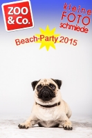 BeachParty_Zoo_Co_2015_07-282