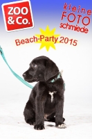 BeachParty_Zoo_Co_2015_07-284