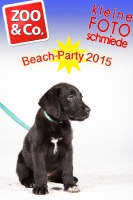 BeachParty_Zoo_Co_2015_07-285