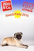 BeachParty_Zoo_Co_2015_07-293