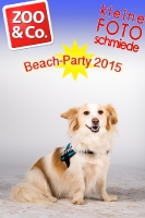 BeachParty_Zoo_Co_2015_07-295