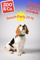 Beach-Party Zoo & Co 2016