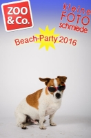 Beach-Party Zoo & Co 2016