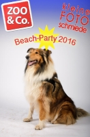 Beach-Party Zoo & Co 2016