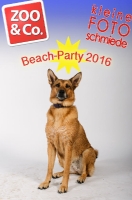 Beach-Party Zoo & Co 2016