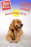 Beach-Party Zoo & Co 2016