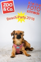 Beach-Party Zoo & Co 2016