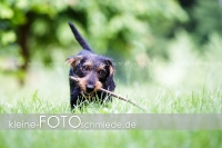 Rogenwieser_2018_07_043