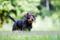 Rogenwieser_2018_07_044