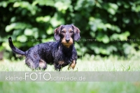 Rogenwieser_2018_07_045