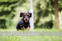 Rogenwieser_2018_07_046
