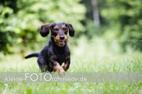 Rogenwieser_2018_07_051