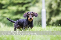 Rogenwieser_2018_07_053