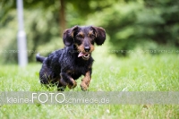 Rogenwieser_2018_07_056