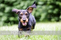 Rogenwieser_2018_07_061