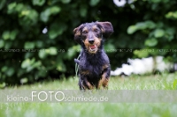 Rogenwieser_2018_07_063
