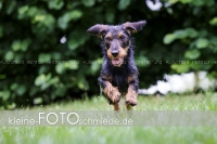 Rogenwieser_2018_07_064