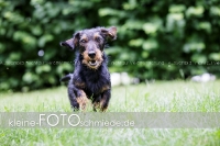 Rogenwieser_2018_07_069