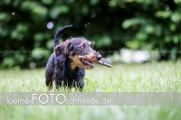 Rogenwieser_2018_07_073