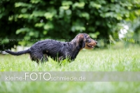 Rogenwieser_2018_07_075